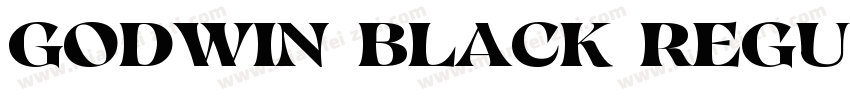 Godwin Black Regular字体转换